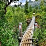 Bridge surrounded by green and lively nature, on the path to go to the big and majestic pine tree, “Storfurua”.