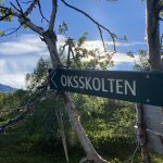 Green wooden sign marked Oksskolten, pointing at mount Oksskolten.
