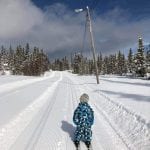 Very young kid standing on his own on tiny skies in a cross-country skiing trail in Korgen, on a beautiful winter day.