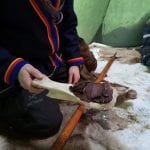 The sami, Frank in a sami-costume in a lavvo, kneeling on reindeer skin while offering reindeer meat on a tray made of bone.
