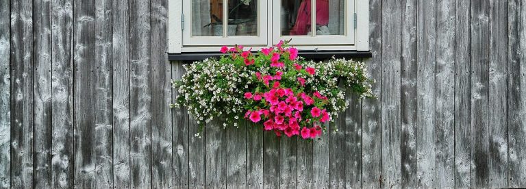 A white window with pink and white flowers underneath on a beautiful grey wood building at Inderdalen Farm.