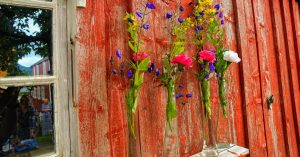 Isakuset at Lapphella, wooden house wall with old red painting decorated with flowers.